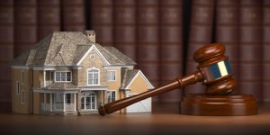 estate litigation