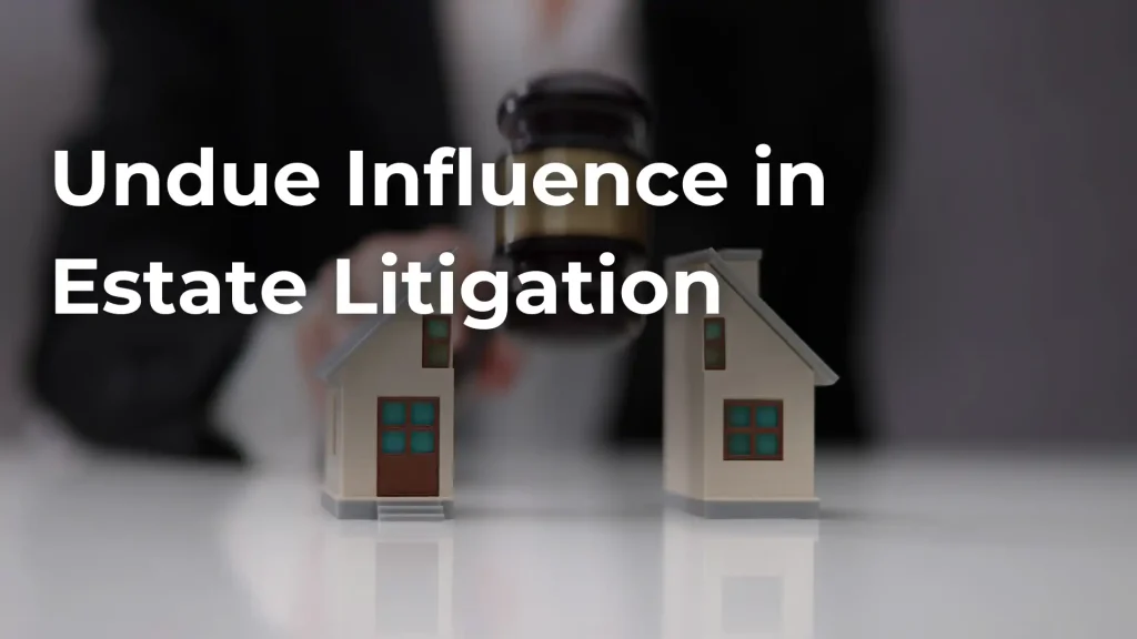 Undue Influence in Estate Litigation Image